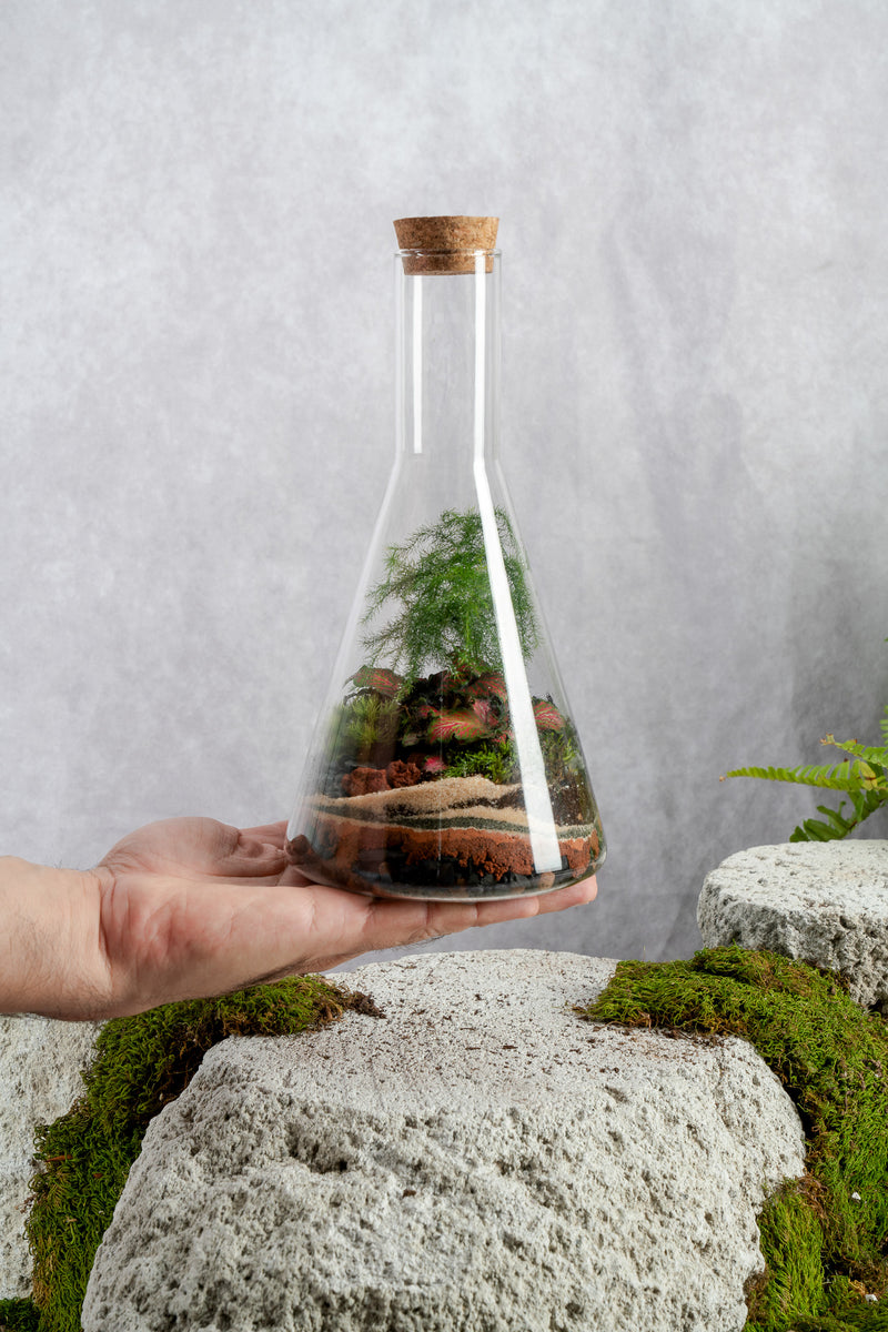 Terrarium 川 Flask XL Terrarium– Terrart NYC