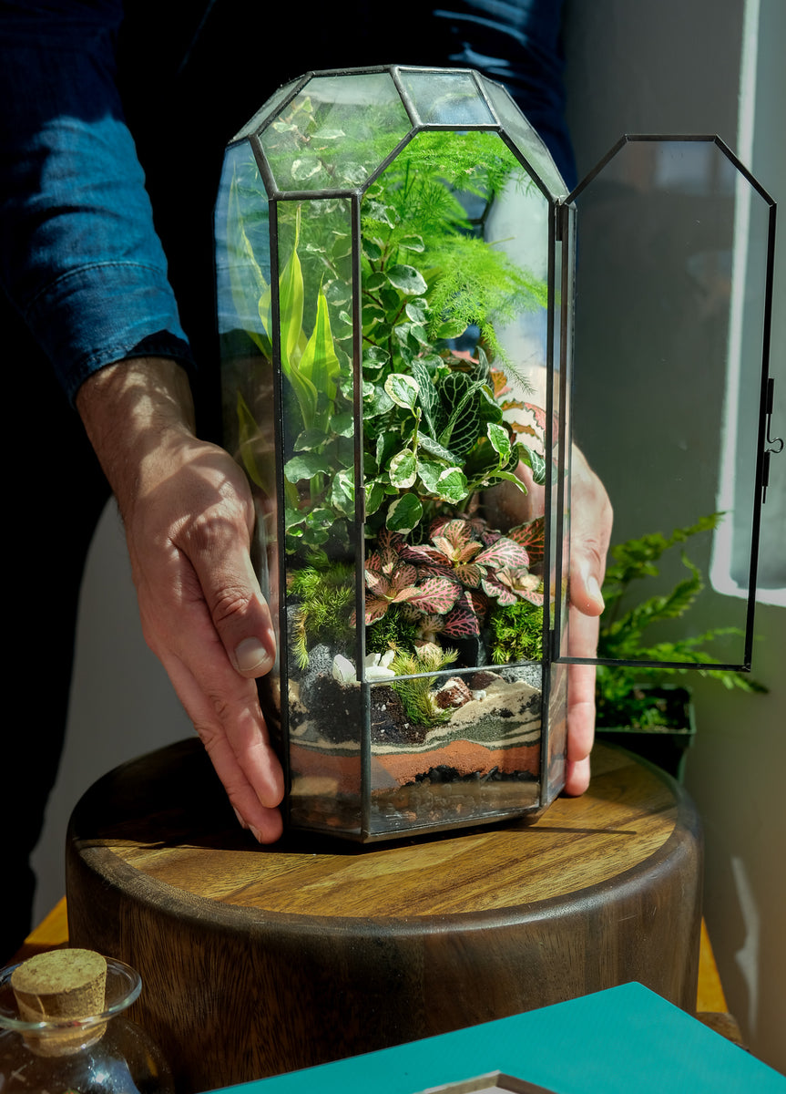 Octagon Vintage Terrarium