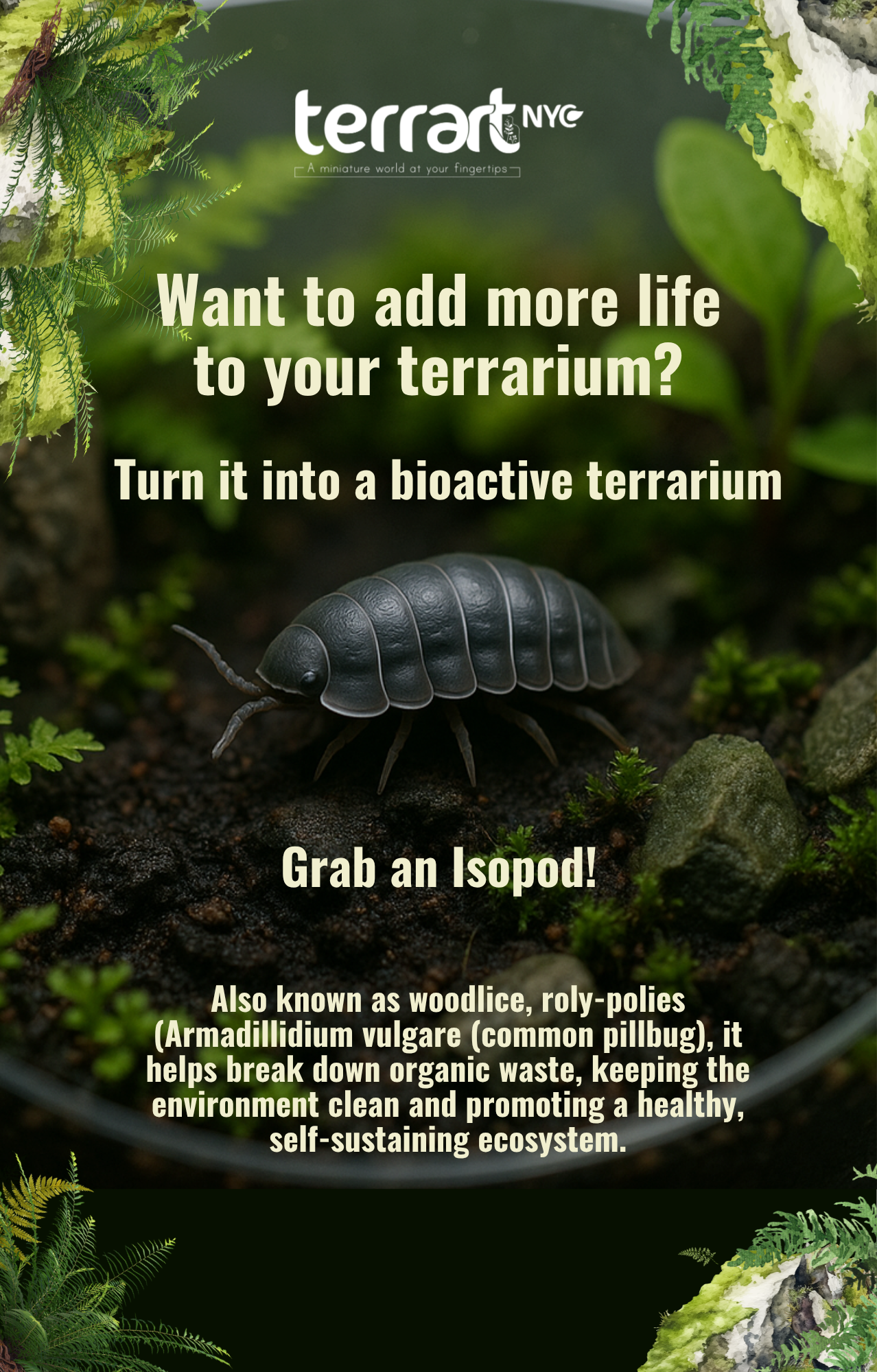 The Role of Springtails and Isopods in a Terrarium Ecosystem– Terrart NYC