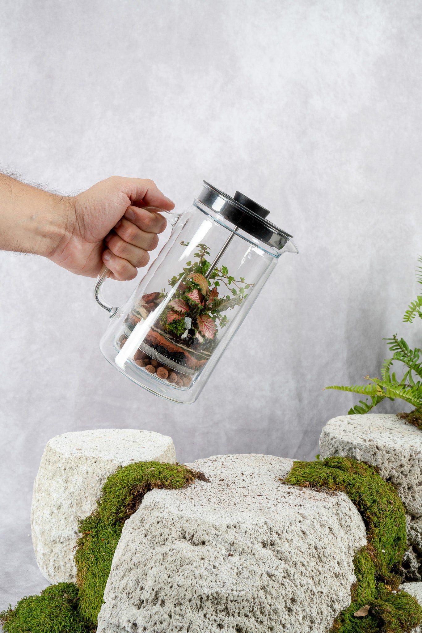 Terrarium Care Tips: Expert Advice Featured by Homes & Gardens– Terrart NYC