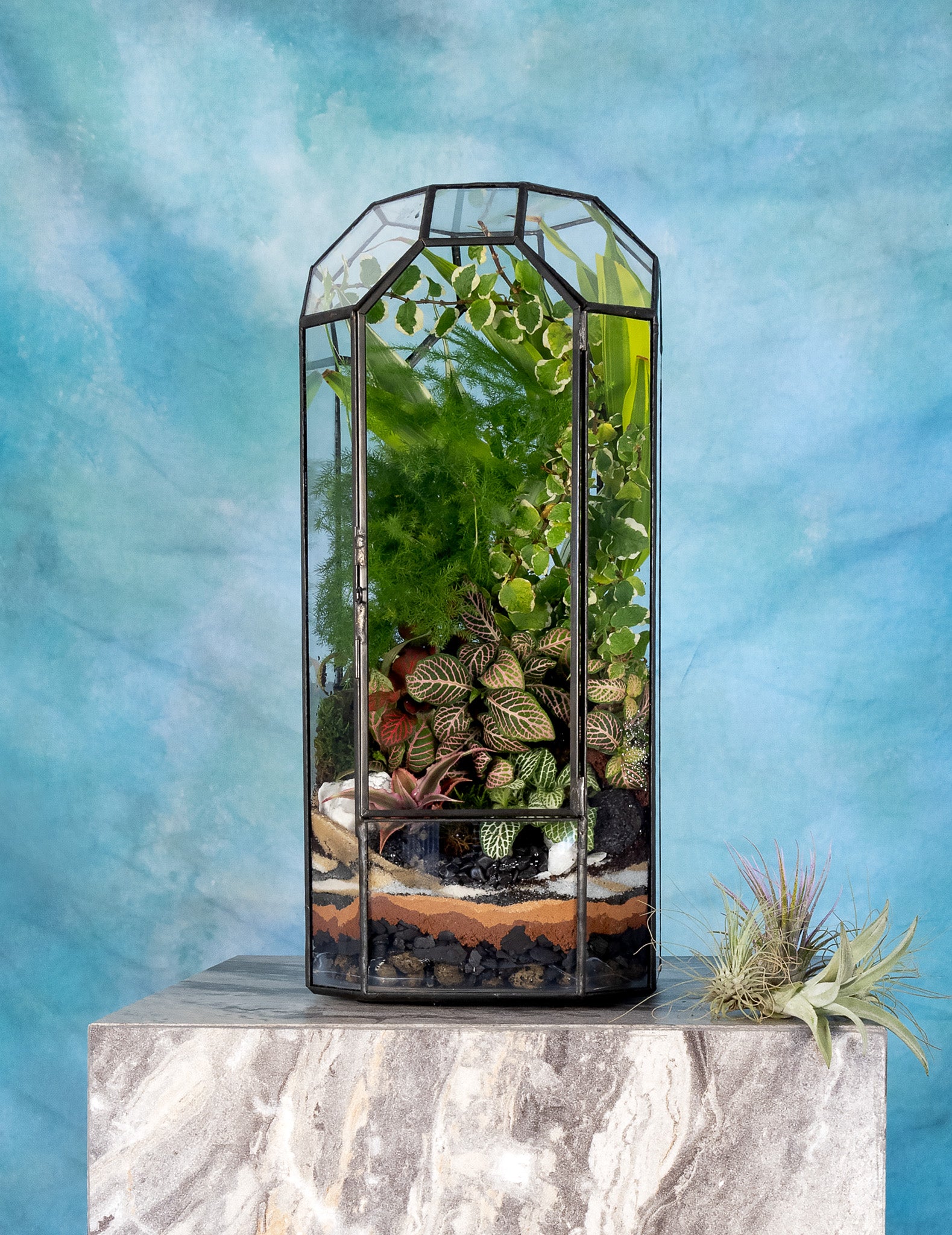 vintage plant terrarium Octagon Vintage Terrarium– Terrart NYC