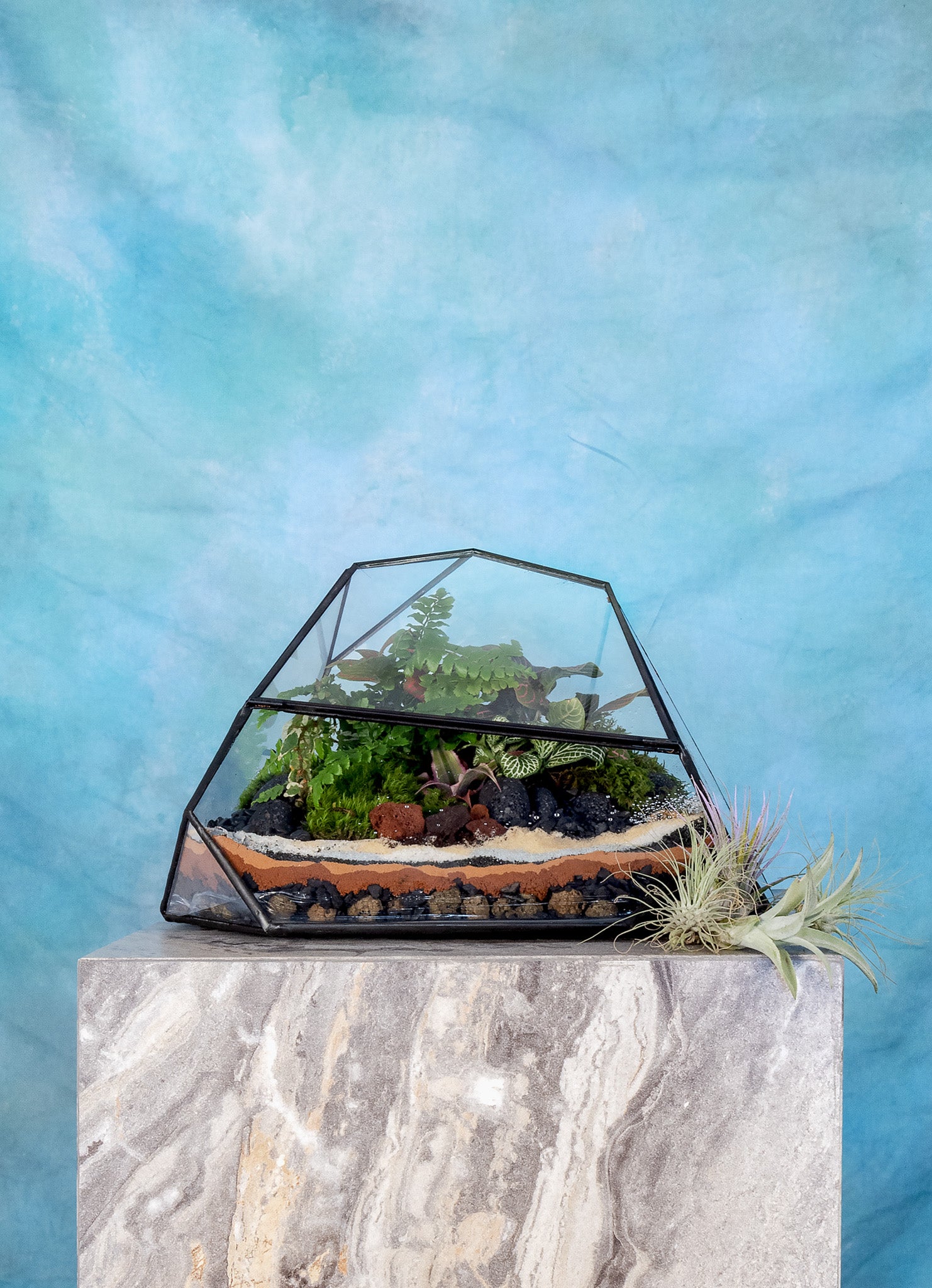 terrarium plants nyc Equinox Terrarium– Terrart NYC