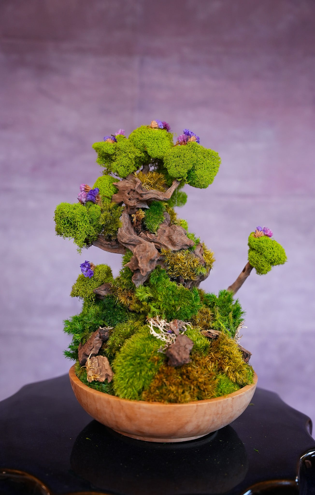 Eterna Moss Bonsai