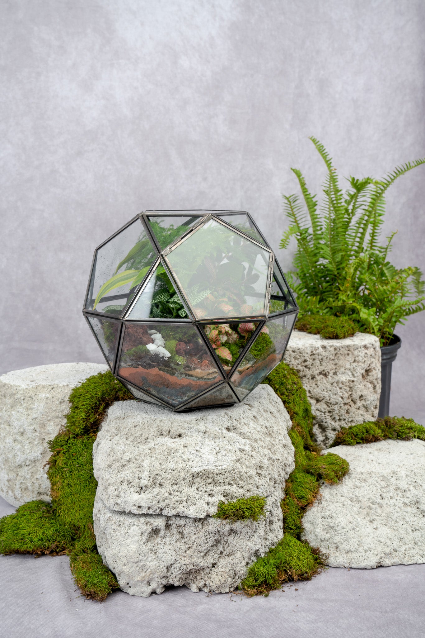 terrarium plants nyc Sphere Terrarium– Terrart NYC