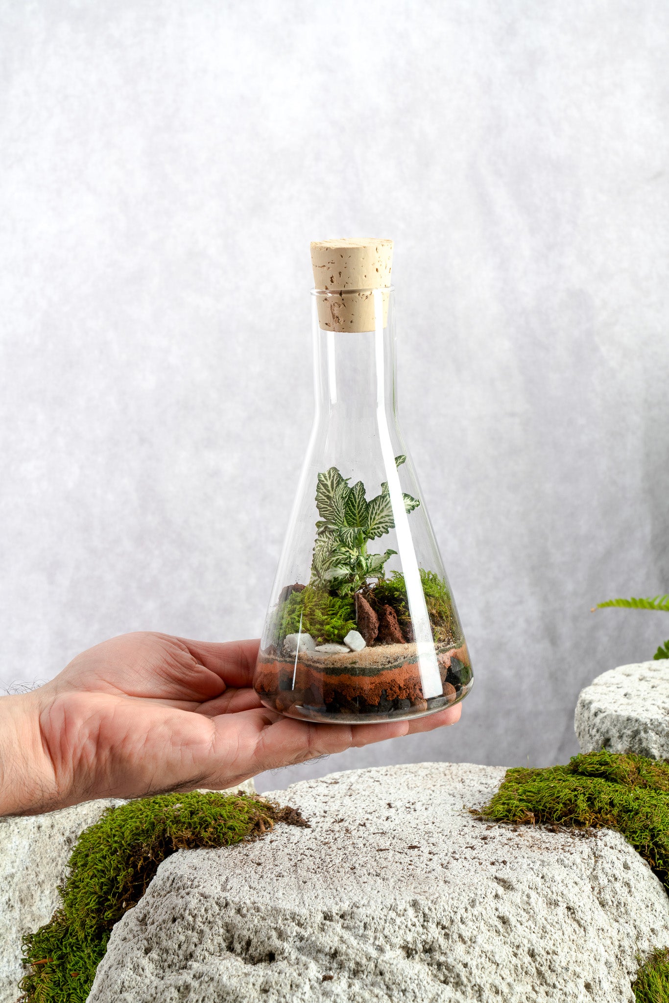 Bottle Terrarium Ecosystem Glass Chemistry Flask Kit