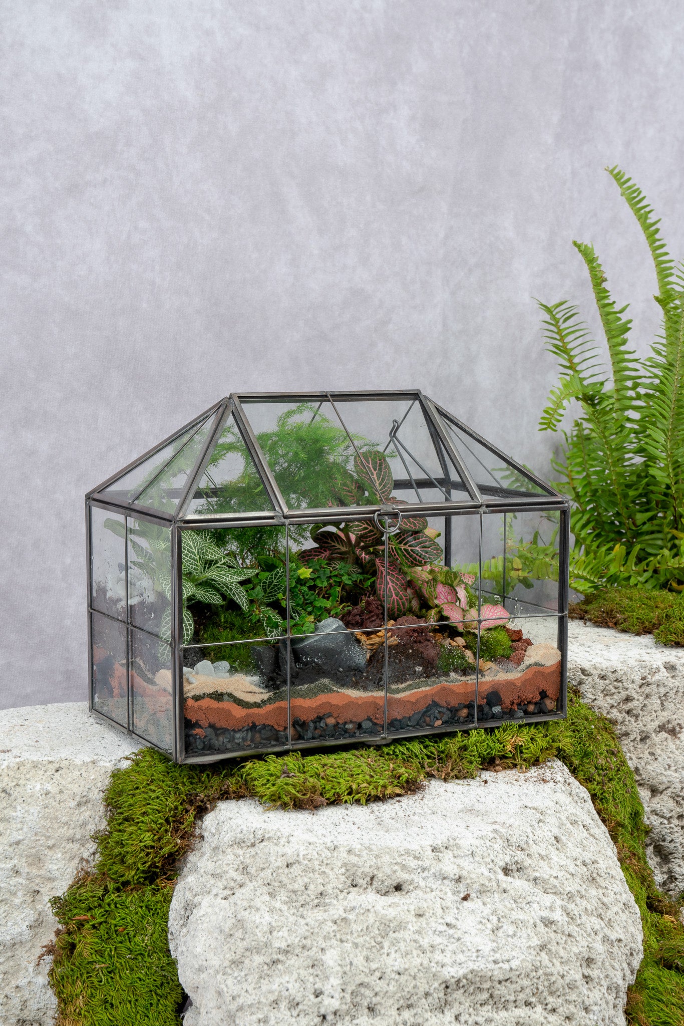 Greenhouse Terrarium– Terrart NYC