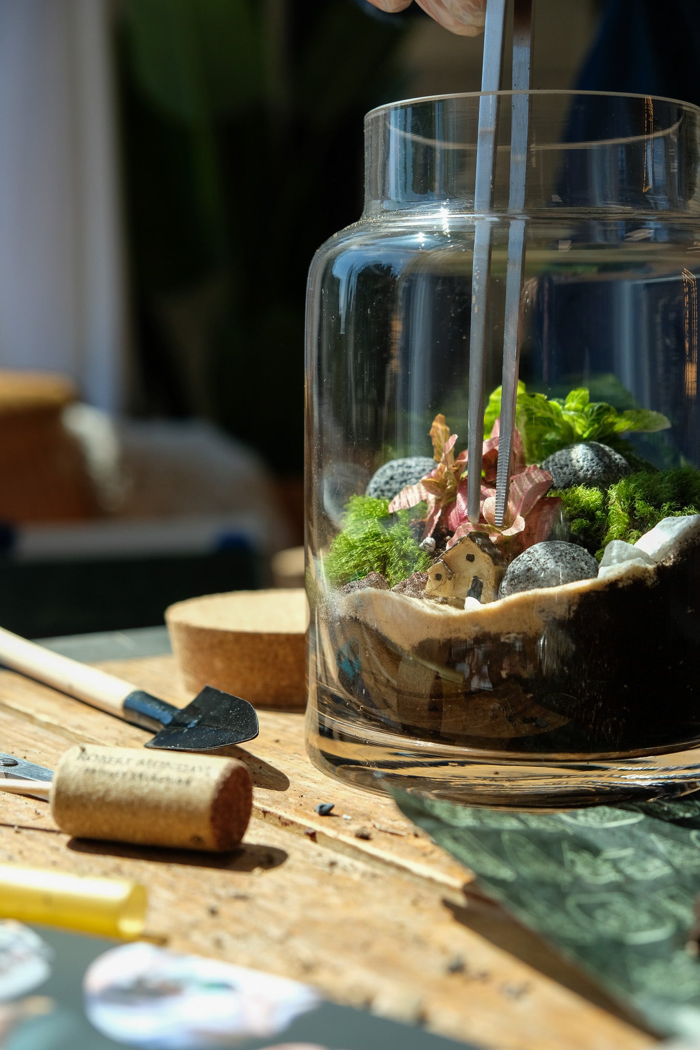 diy plant terrarium kit DIY Kit Self-Sustaining Ecosystem– Terrart NYC
