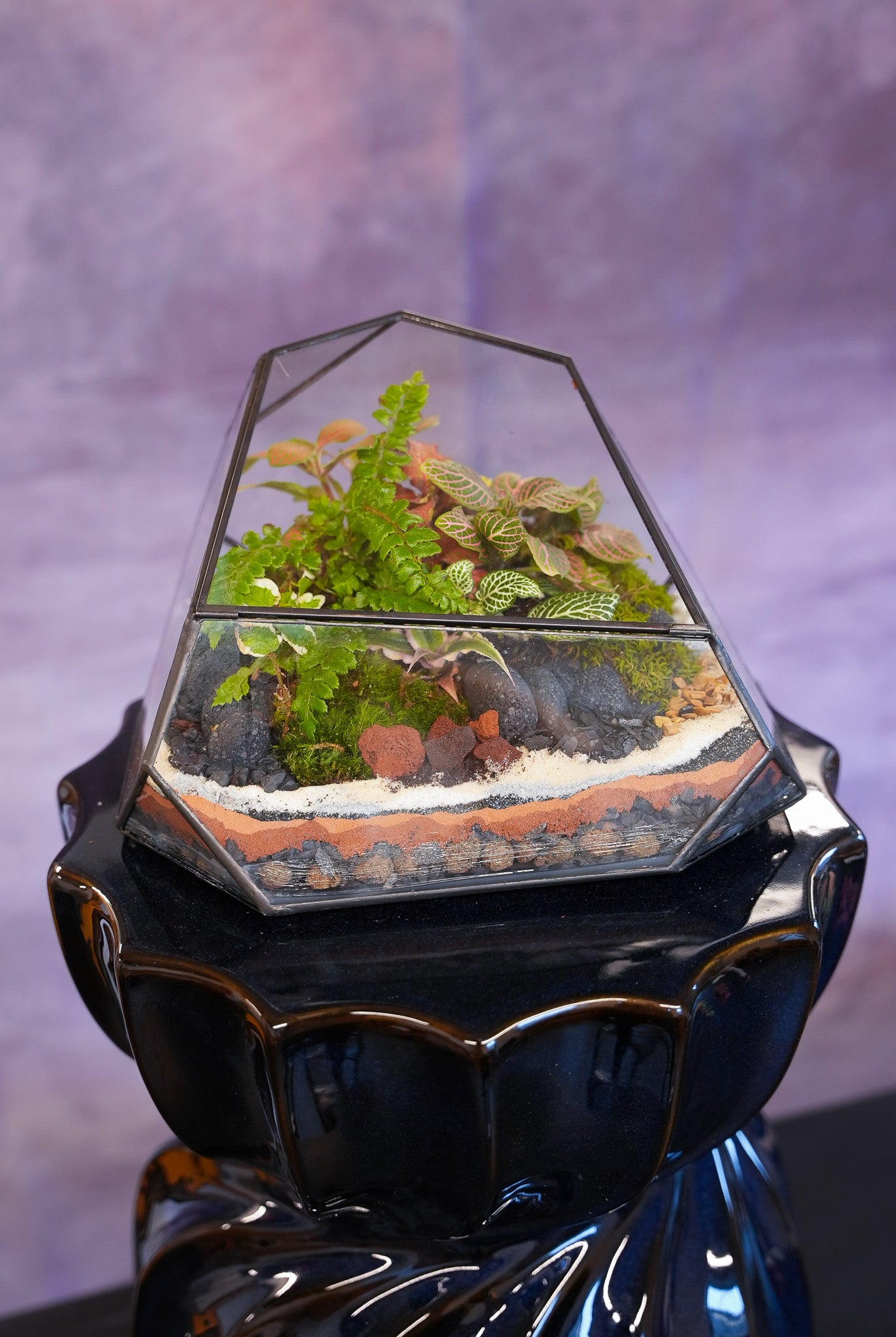geometric terrarium with plants Equinox Terrarium– Terrart NYC