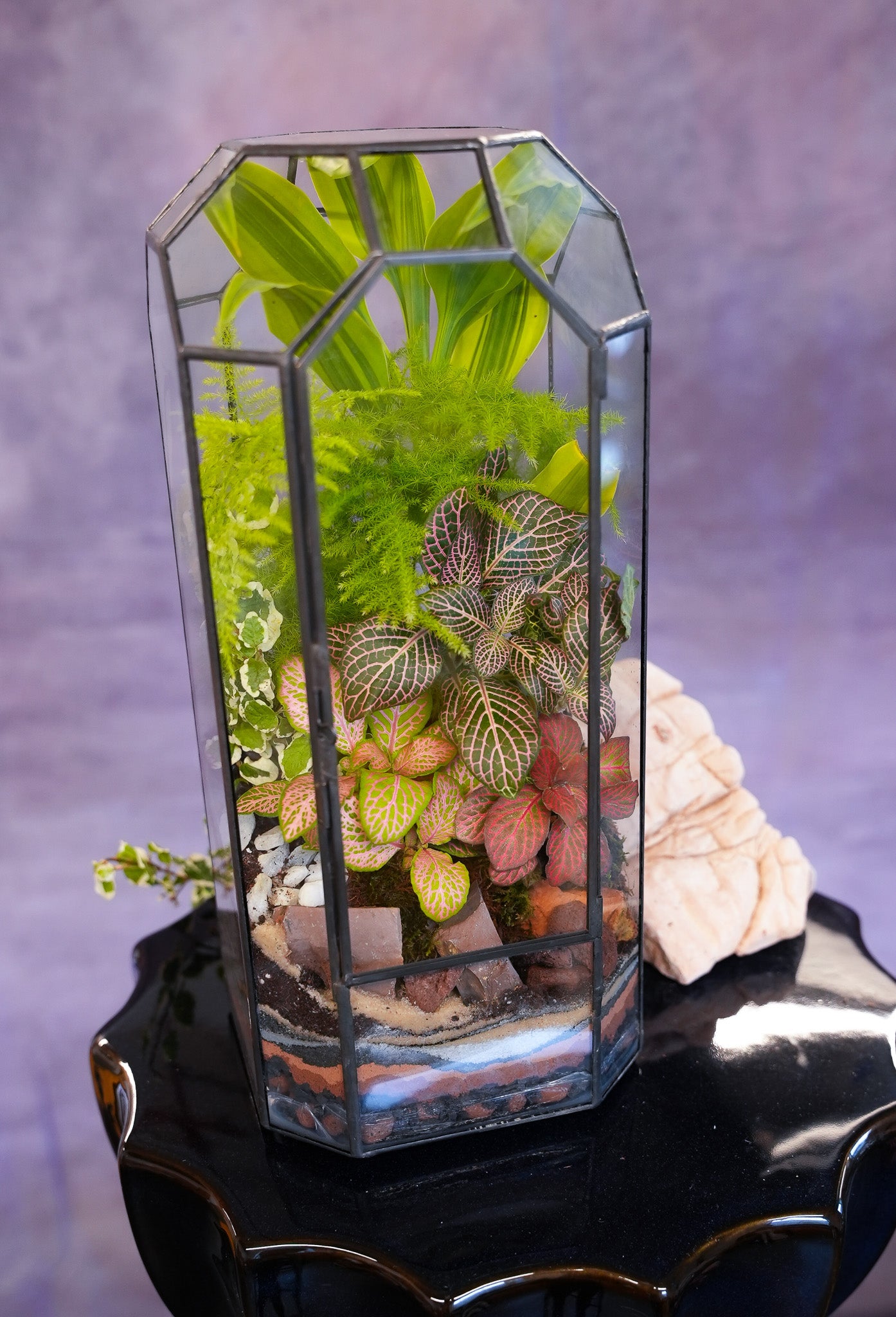 geometric plant terrarium Octagon Vintage Terrarium– Terrart NYC