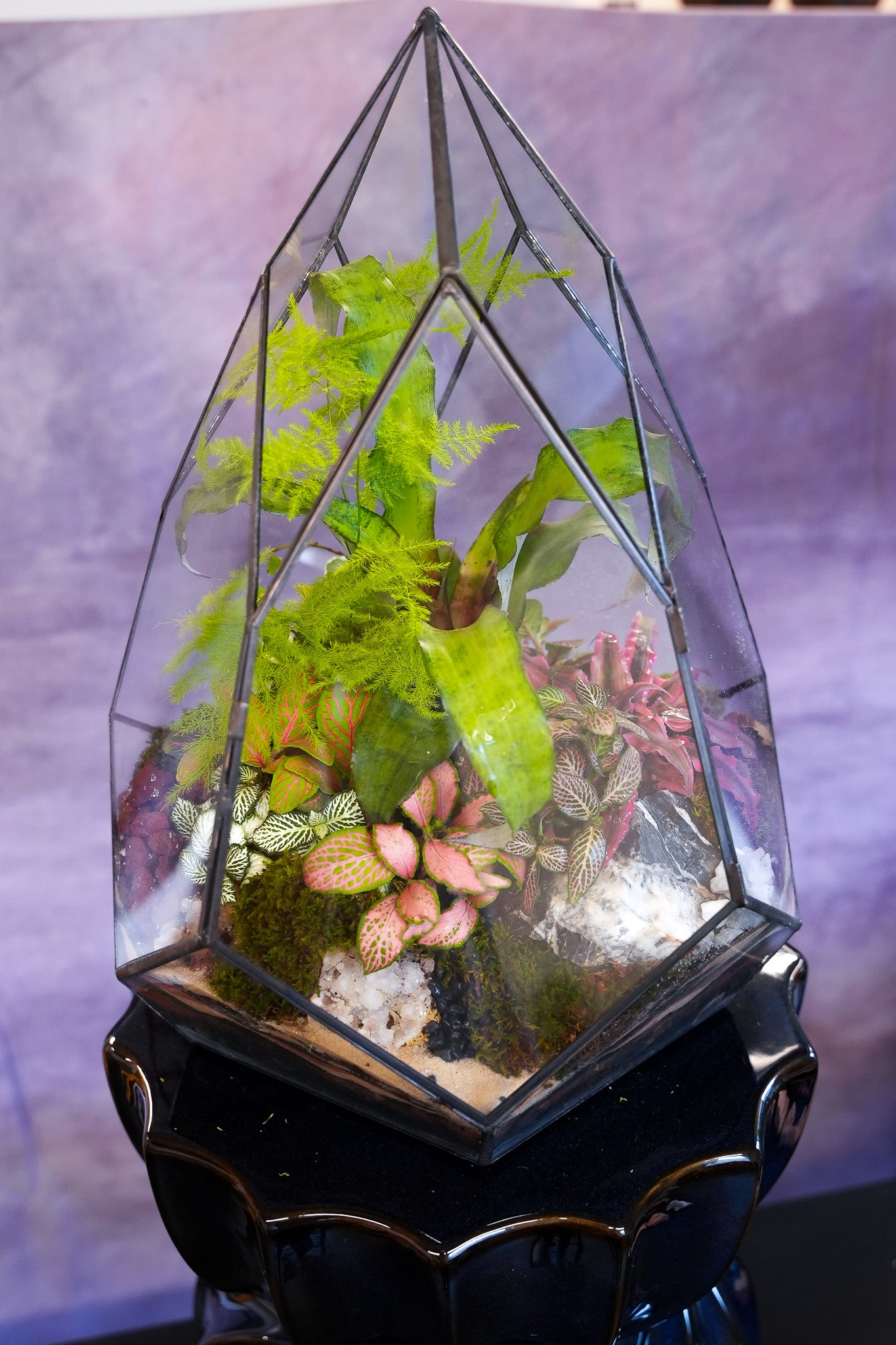 geometric plant terrarium Vortex Terrarium– Terrart NYC