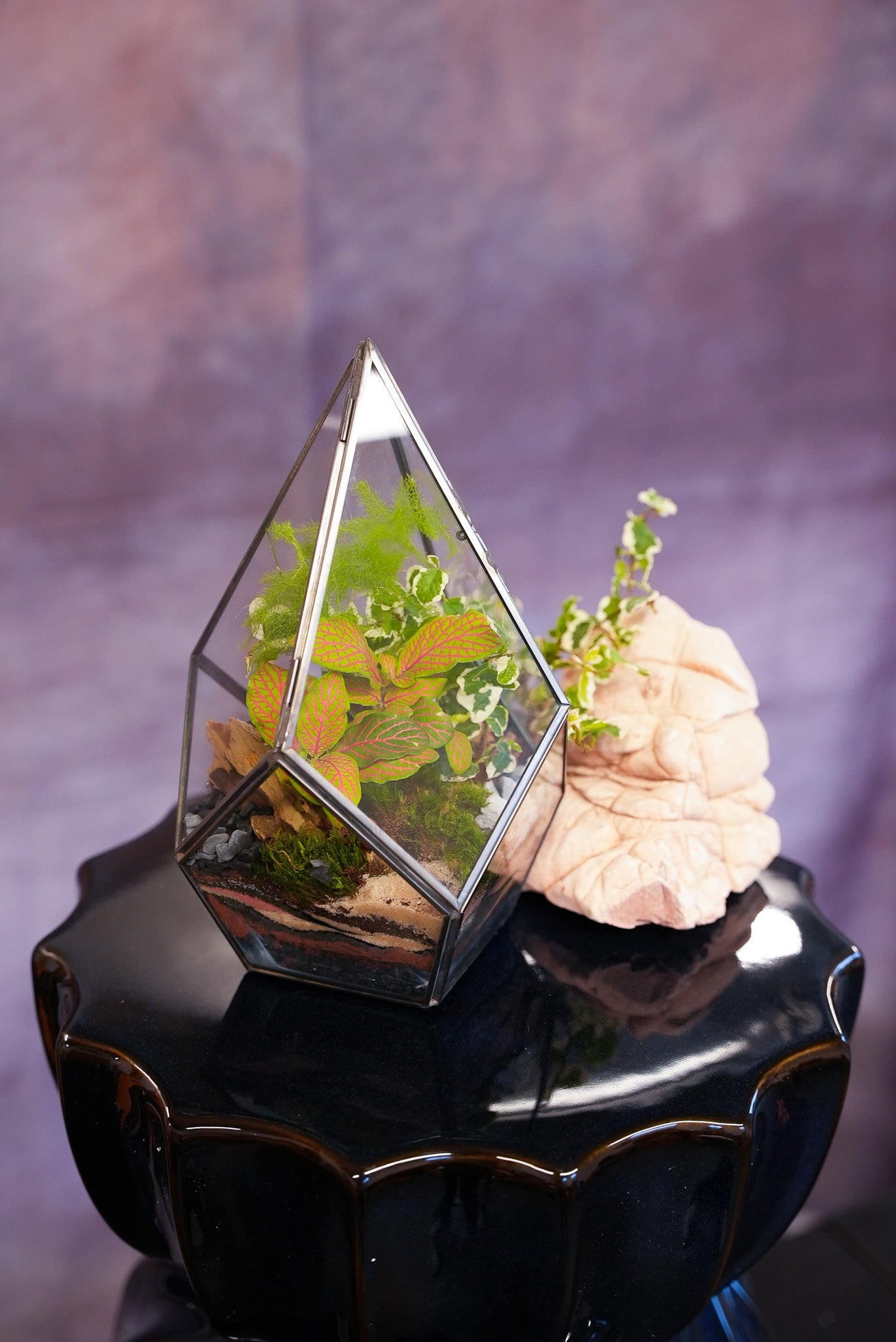 teardrop air plant terrarium Mini Teardrop Terrarium– Terrart NYC
