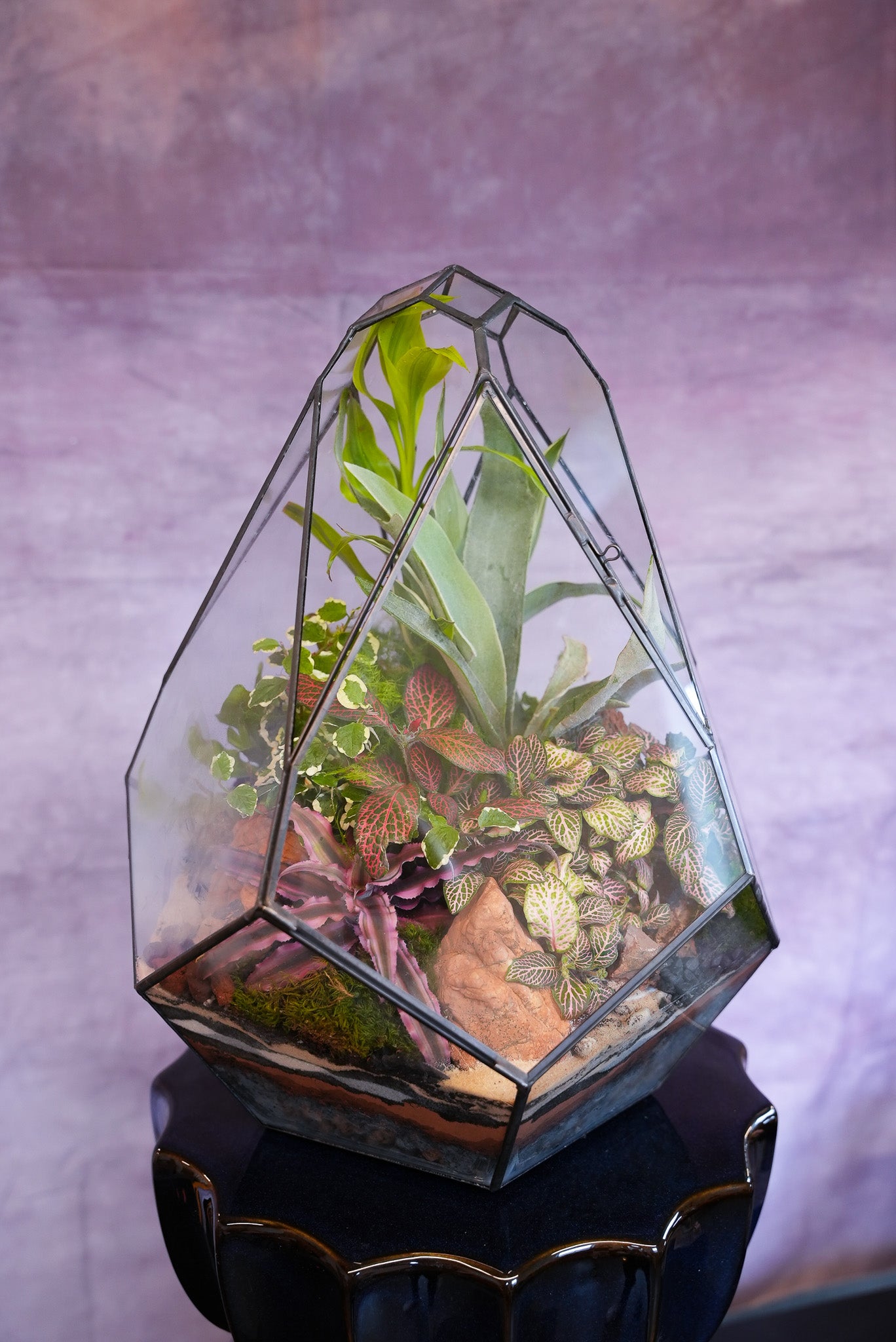 terrarium plants nyc Paramount Terrarium