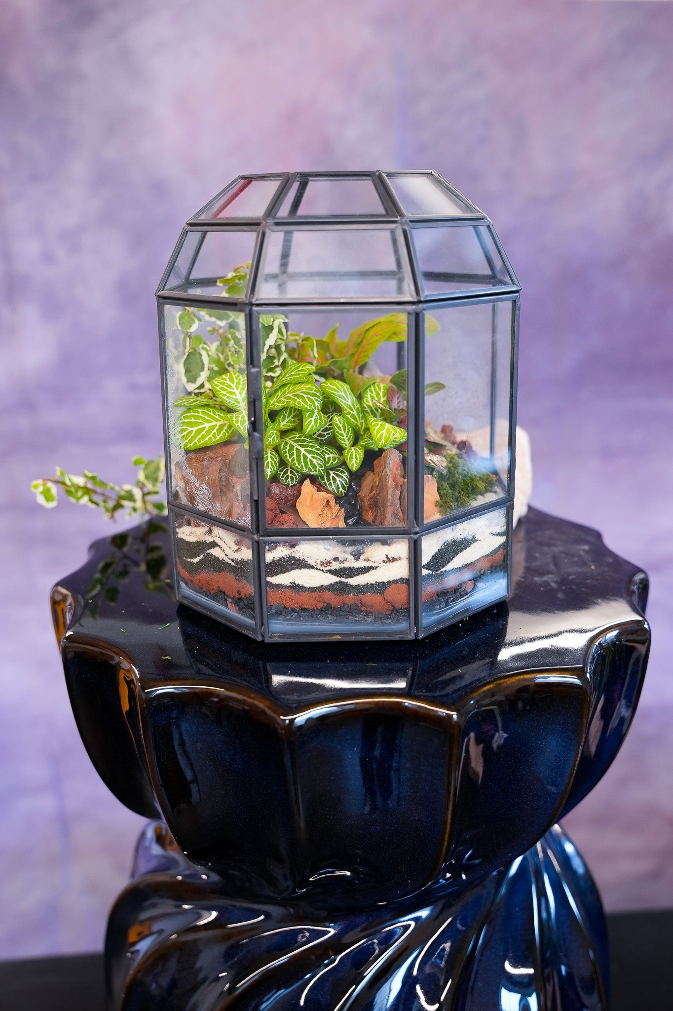 terrarium dome planter Babylon Terrarium– Terrart NYC